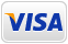 visa card